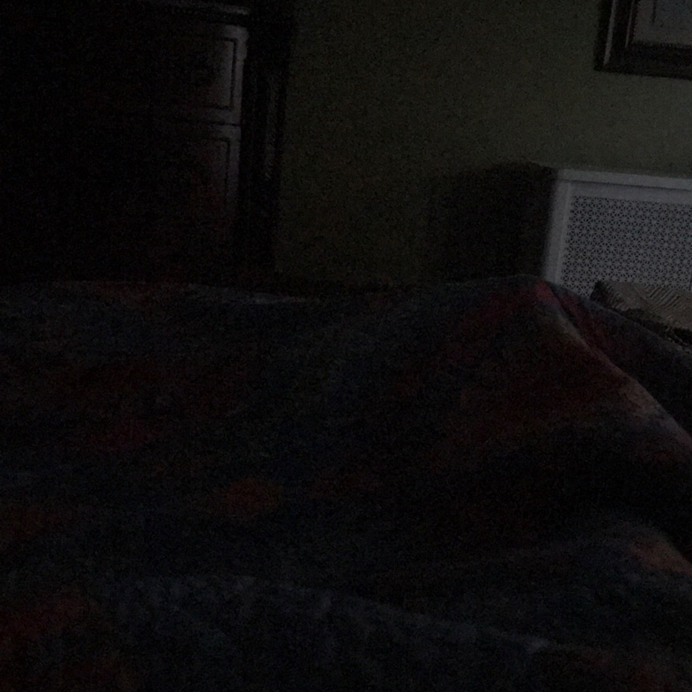 Meet your Posher, Dania